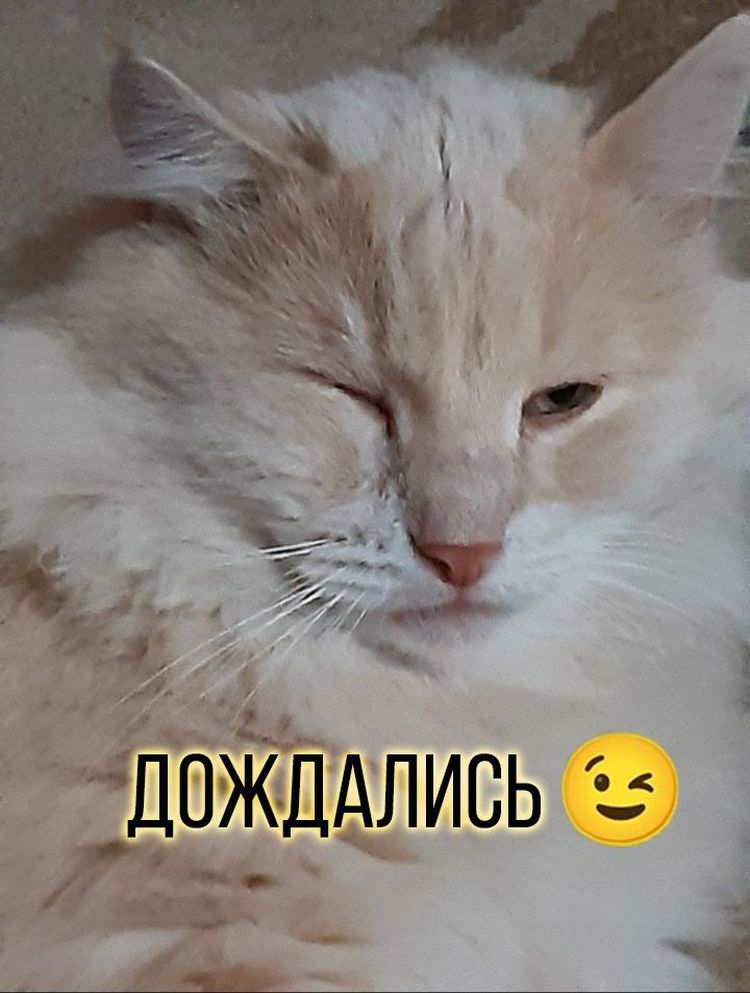 93h8h4598345