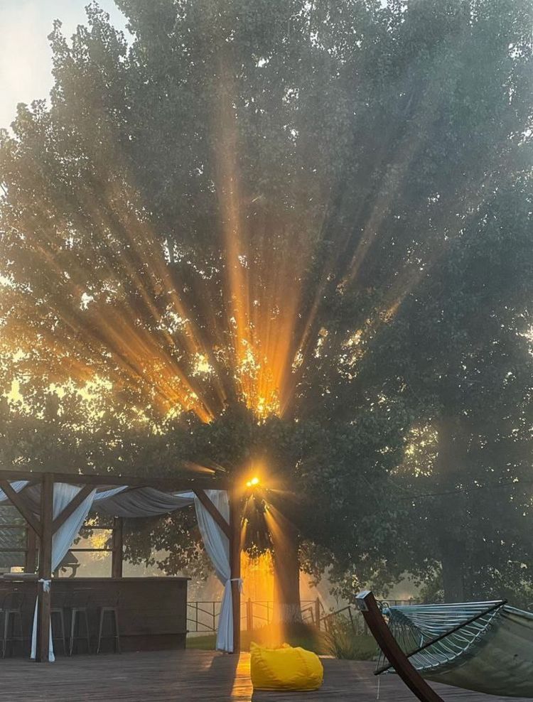 photo 2024 12 11 08 49 28