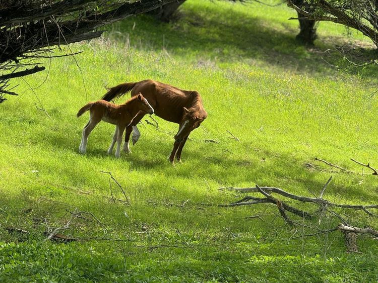 photo 2024 12 11 08 49 57