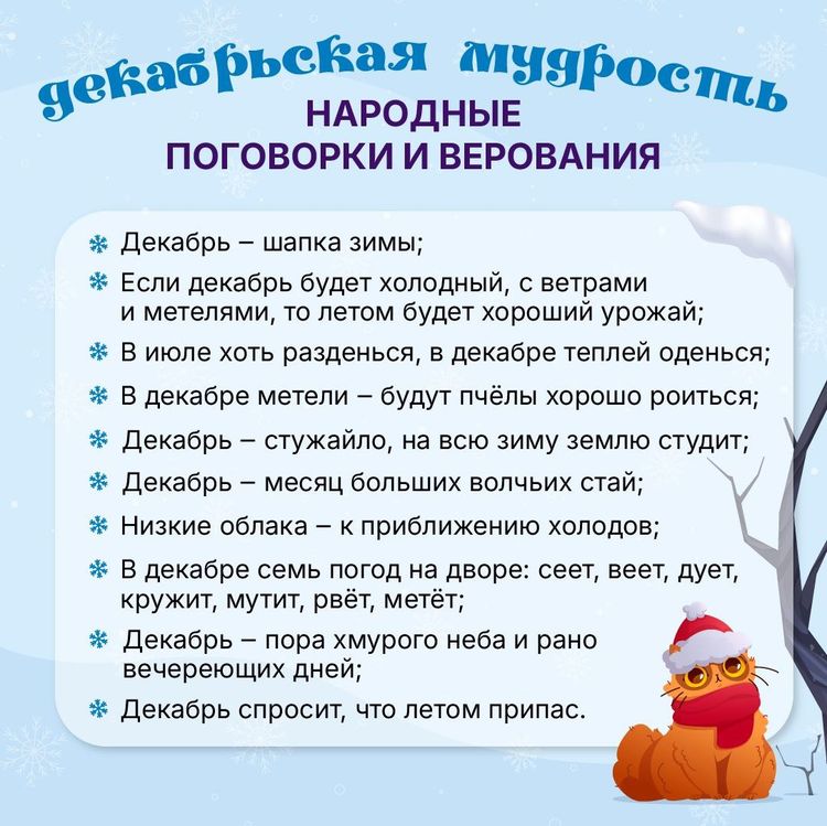 W4973834799834972932 03