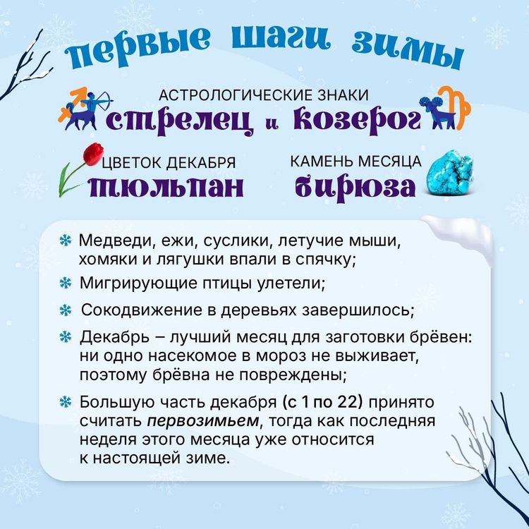 W4973834799834972932 06