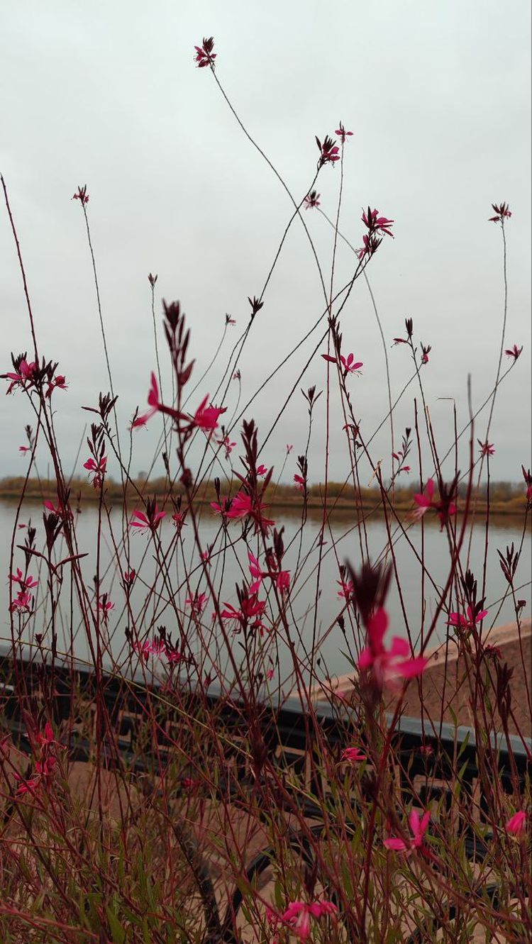 photo 2025 11 25 08 20 47