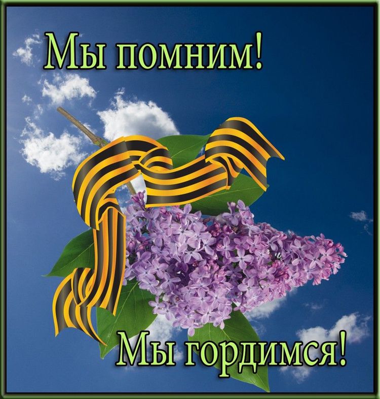 W7572862827 06