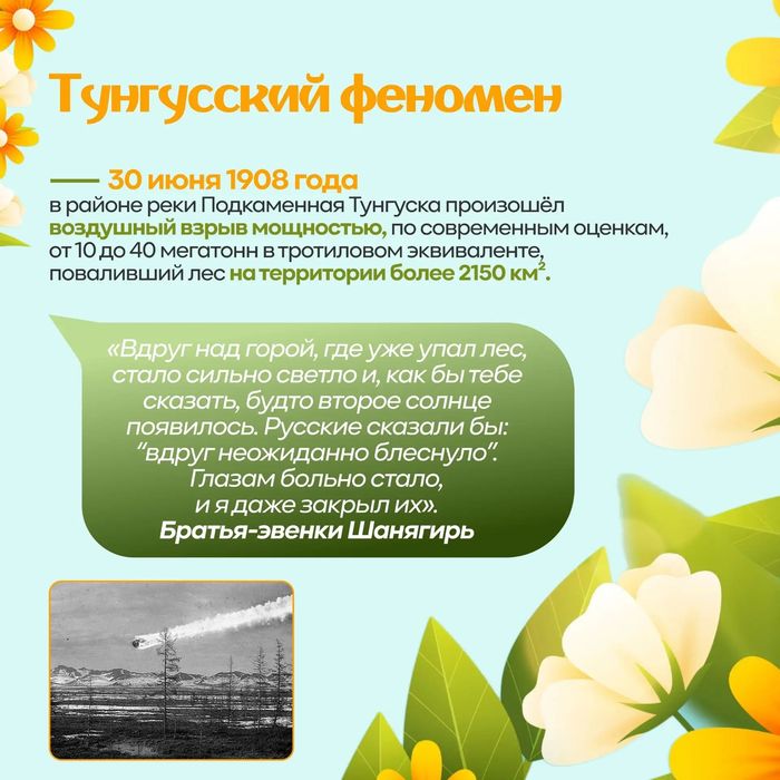 W8273486732274474 04